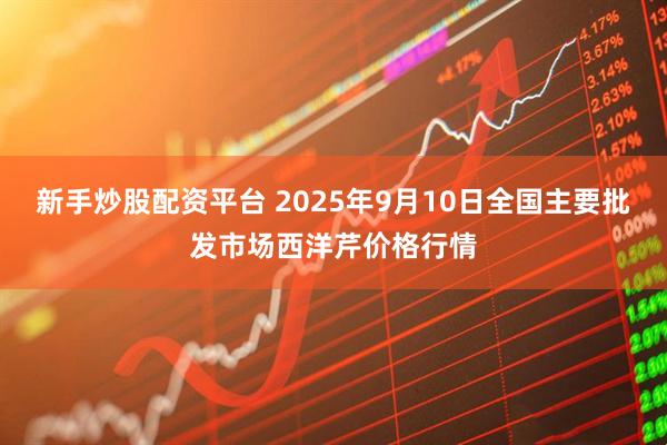 新手炒股配资平台 2025年9月10日全国主要批发市场西洋芹价格行情