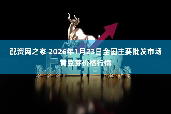 配资网之家 2026年1月23日全国主要批发市场黄豆芽价格行情